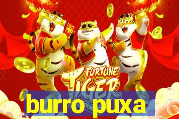 burro puxa